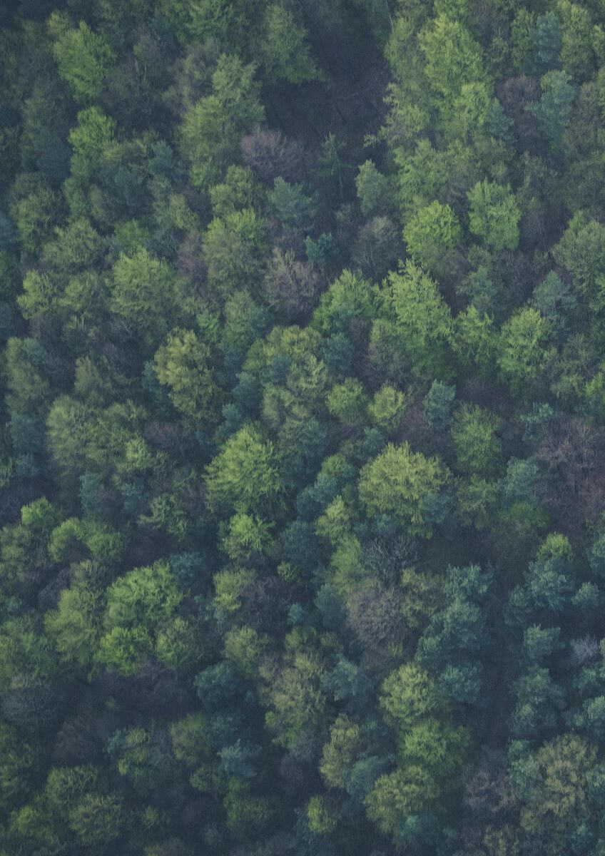 sustainable green